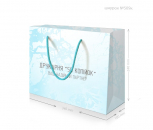 Пакет ПАК 51